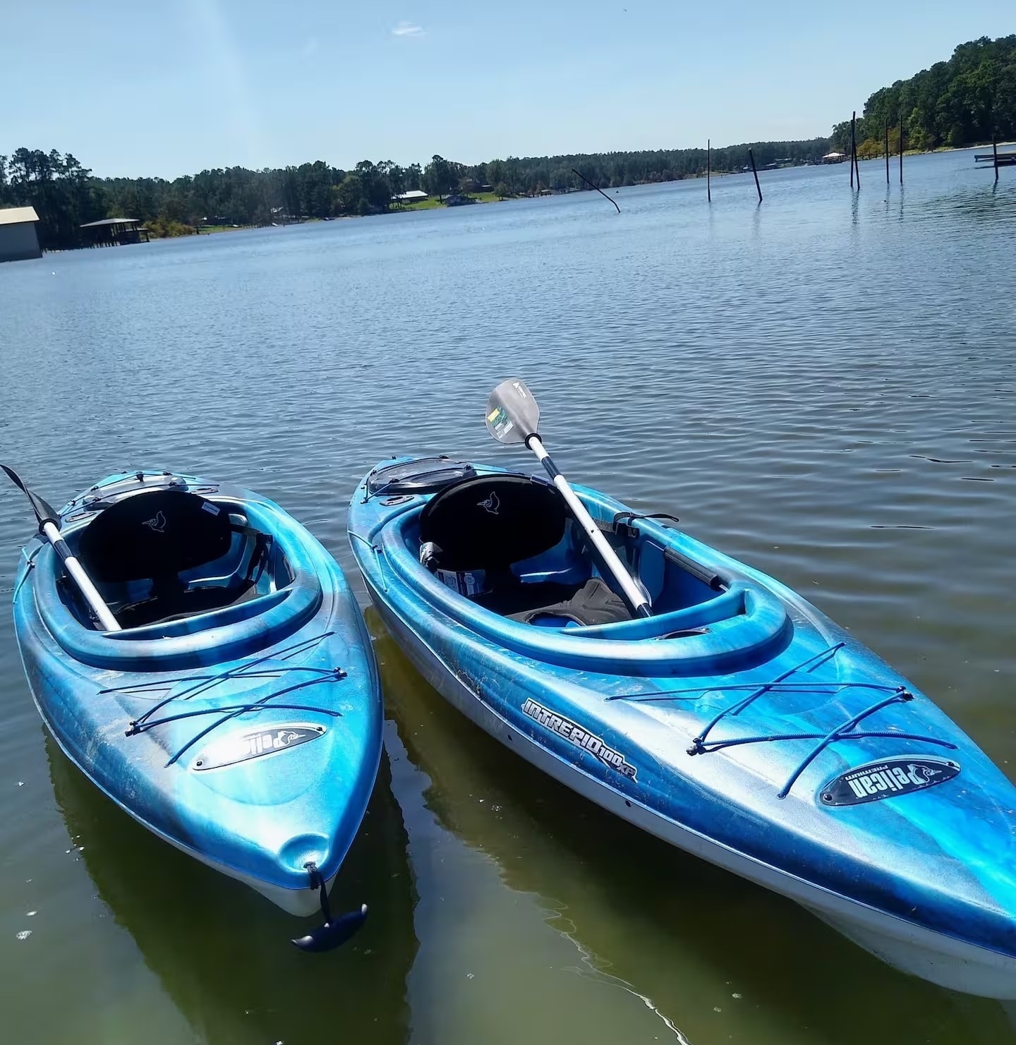Aerial view of Toledo Bend Reservoir